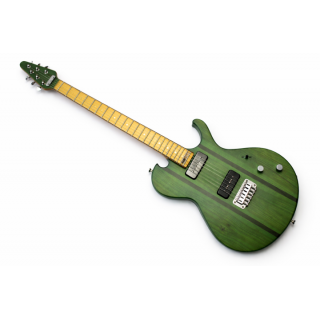 Sever custom electric guitar Rodger-G.